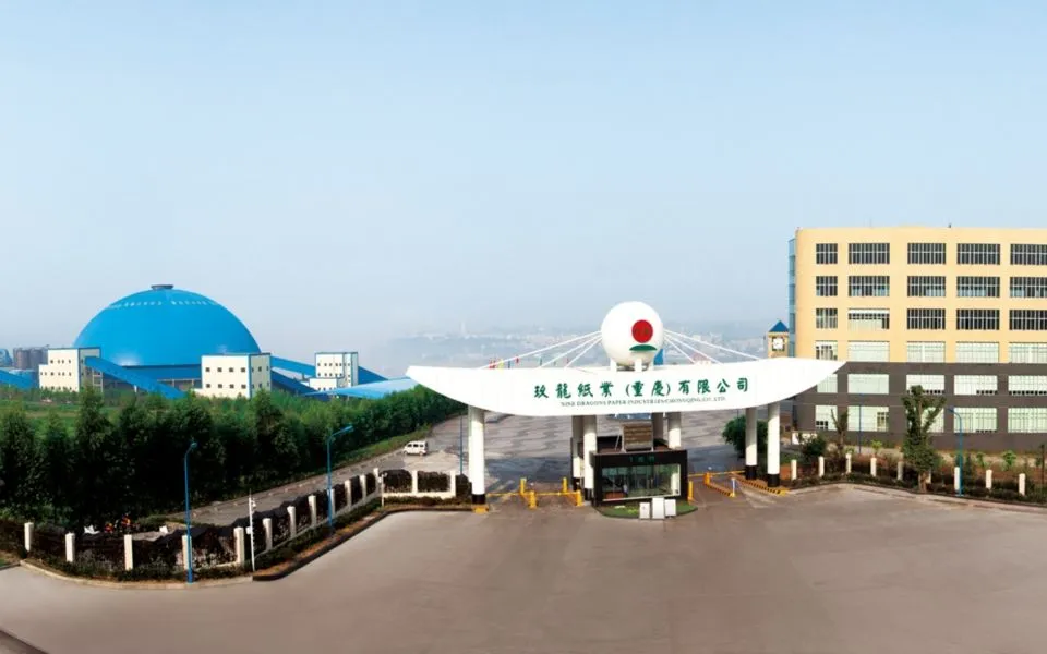 玖龙纸业有限公司